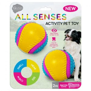 Iquties Pet Sensory Balls Large (2 Pack)