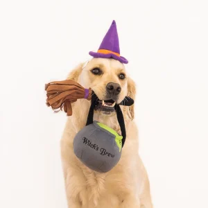 Witch Dog Halloween Costume Kit