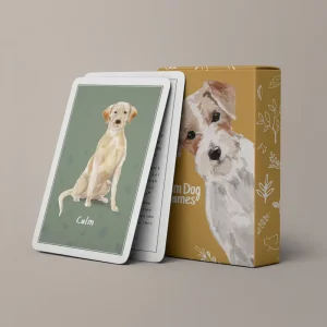 Calm Dog Games Enrichment Deck (Activity Cards containing Games, Brain Puzzles & more)