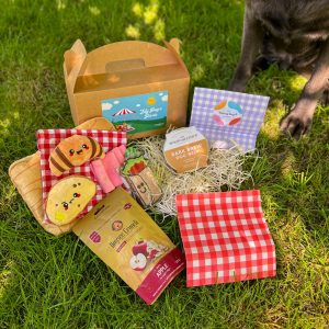 My Pup's Picnic Box - Filled with everything your pup needs to join the family picnic!