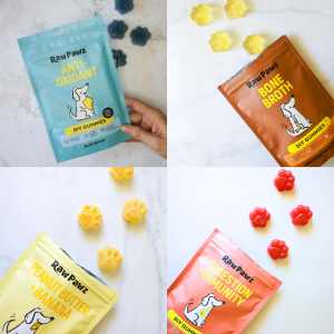 DIY Dog Friendly Healthy Jelly Gummies - Various Flavours